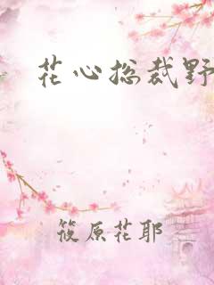 花心总裁野蛮妻