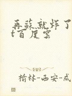 再苏就炸了txt百度云