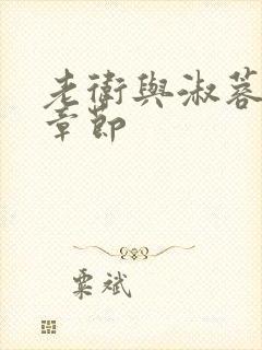 老卫与淑蓉全部章节