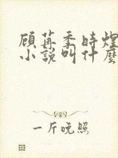 顾苒季时煜电竞小说叫什么名字