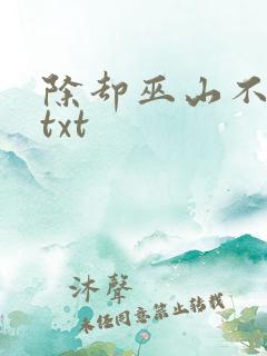 除却巫山不是云txt