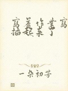 写着作业写着就插起来了