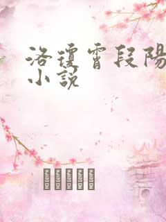 洛琼霄段阳澍的小说