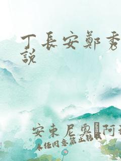 丁长安郑秀兰小说