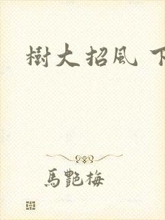 树大招风 下载