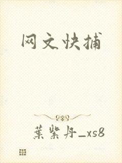 网文快捕