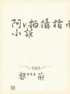 阿v拍摄指南说小说
