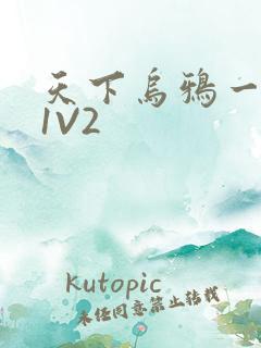 天下乌鸦一般黑1V2