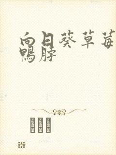 向日葵草莓丝瓜鸭脖