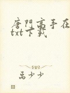 唐门高手在异世txt下载