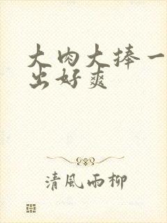 大肉大捧一进一出好爽