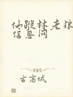 仙踪林老狼贰佰信息网