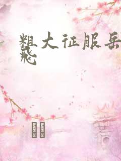 粗大征服岳女双飞