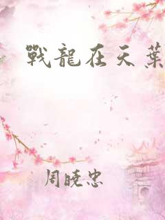 战龙在天叶凡