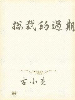 总裁的过期情人