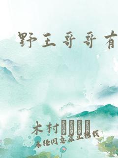 野王哥哥有点甜