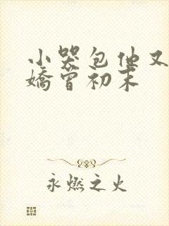小哭包他又软又娇曾初末