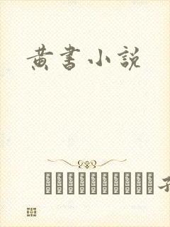 黄书小说