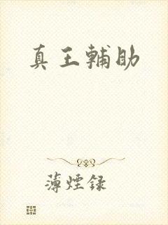 真王辅助