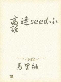 高达seed小说
