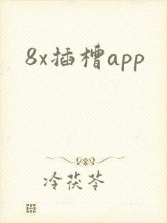 8x插槽app