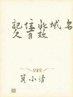 记住此域名记永久有效