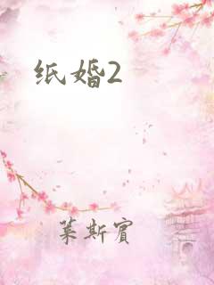 纸婚2