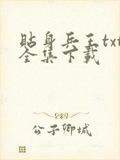贴身兵王txt全集下载