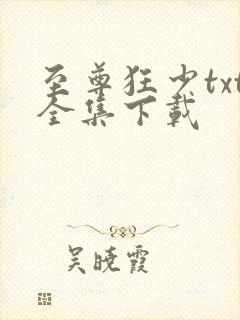 至尊狂少txt全集下载