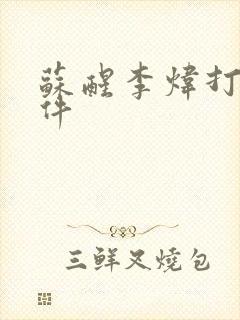 苏醒李炜打架事件