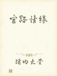 官路情缘