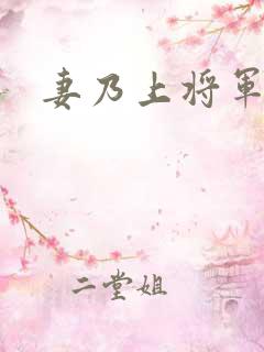 妻乃上将军下载