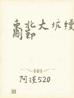 东北大坑续集未删节