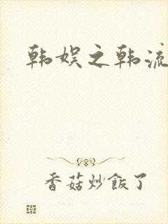 韩娱之韩流全球