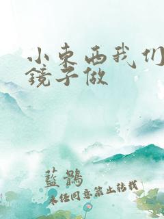 小东西我们对着镜子做