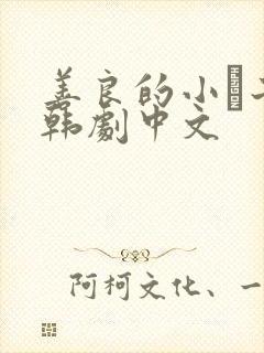 善良的小峓子2韩剧中文