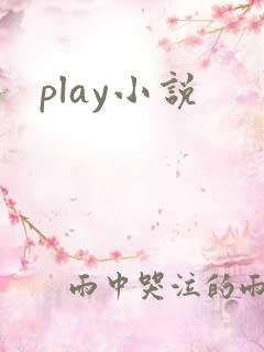 play小说
