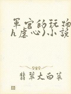 军官的玩物(高h虐心)小说