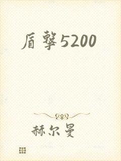 盾击5200