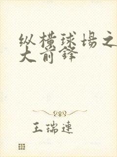 纵横球场之暴力大前锋