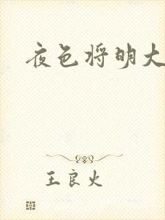 夜色将明大结局