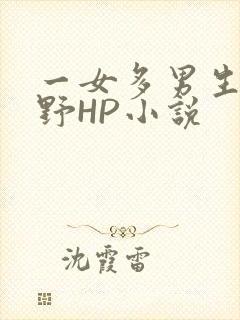 一女多男生活狂野HP小说