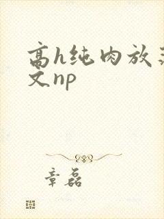 高h纯肉放荡h文np