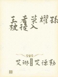 王者荣耀孙尚香被后入