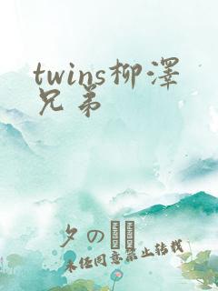 twins柳泽兄弟