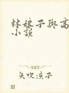 林娘子与高衙内小说