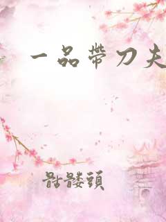 一品带刀夫人