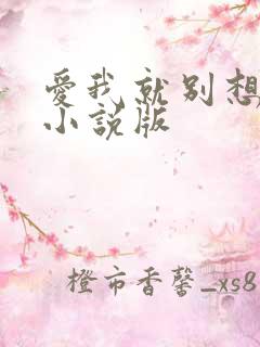 爱我就别想太多小说版