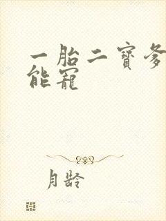 一胎二宝爹地超能宠