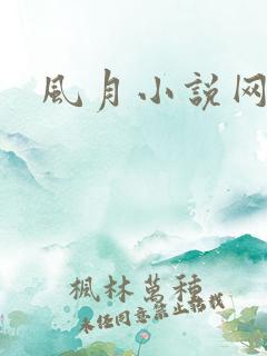 风月小说网
